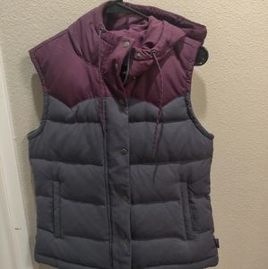 Patagonia Bivy Hooded Vest